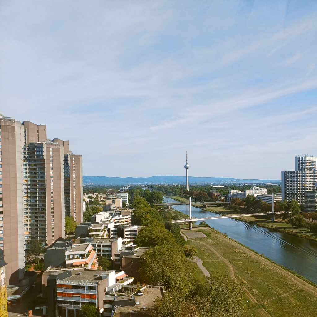 Blick auf Mannheim mit Neckar, Fernmeldeturm und Stadtlandschaft - bei einer Stadtwanderung lernst du Städte aus einer neuen Perspektive kennen.