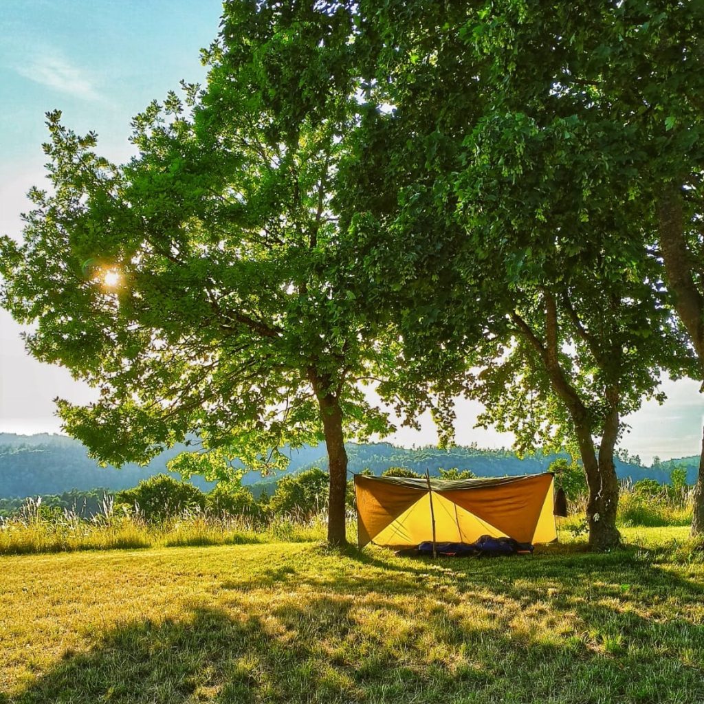 Trekkingcamp unter alten Bäumen auf einer sonnigen Wiese mit Blick in die Natur