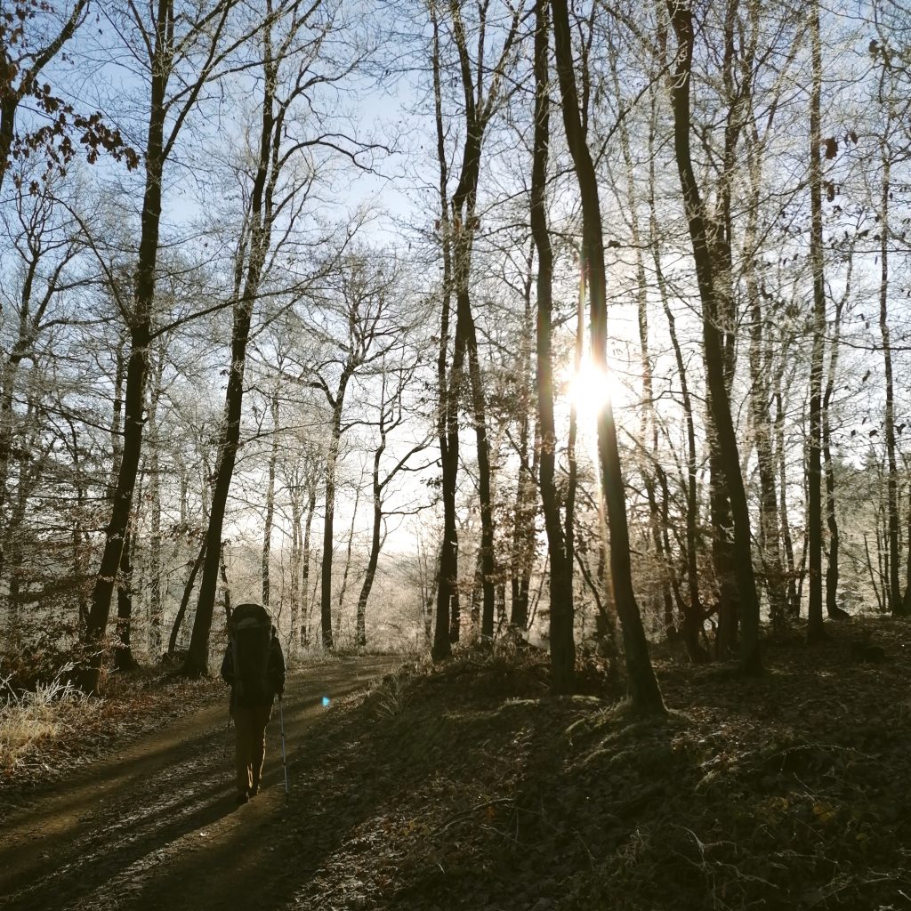 Wandernde Person mit Rucksack im winterlichen Wald bei tief stehender Sonne