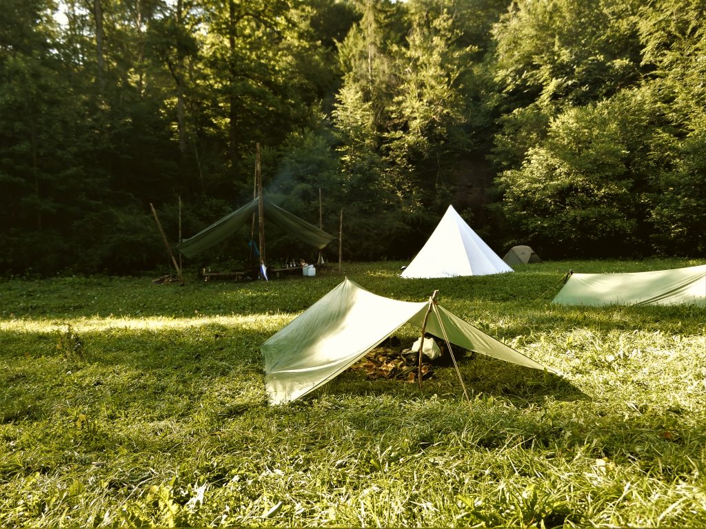 Trekkinglager mit Tarps auf einer Waldwiese bei Sonnenlicht