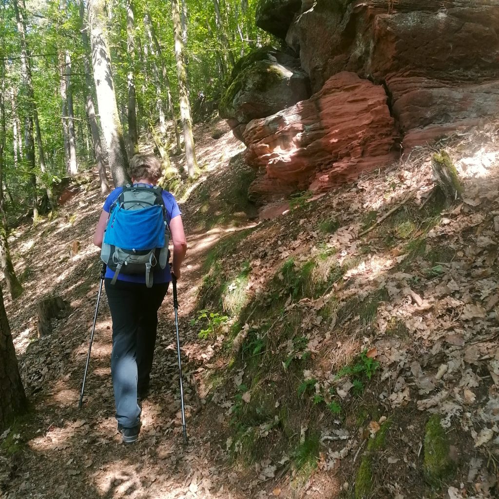 Wandererin passiert einen Felsen auf einer einem Outdoorevent, einer Trekkingtour in der Pfalz, einen Felsen.