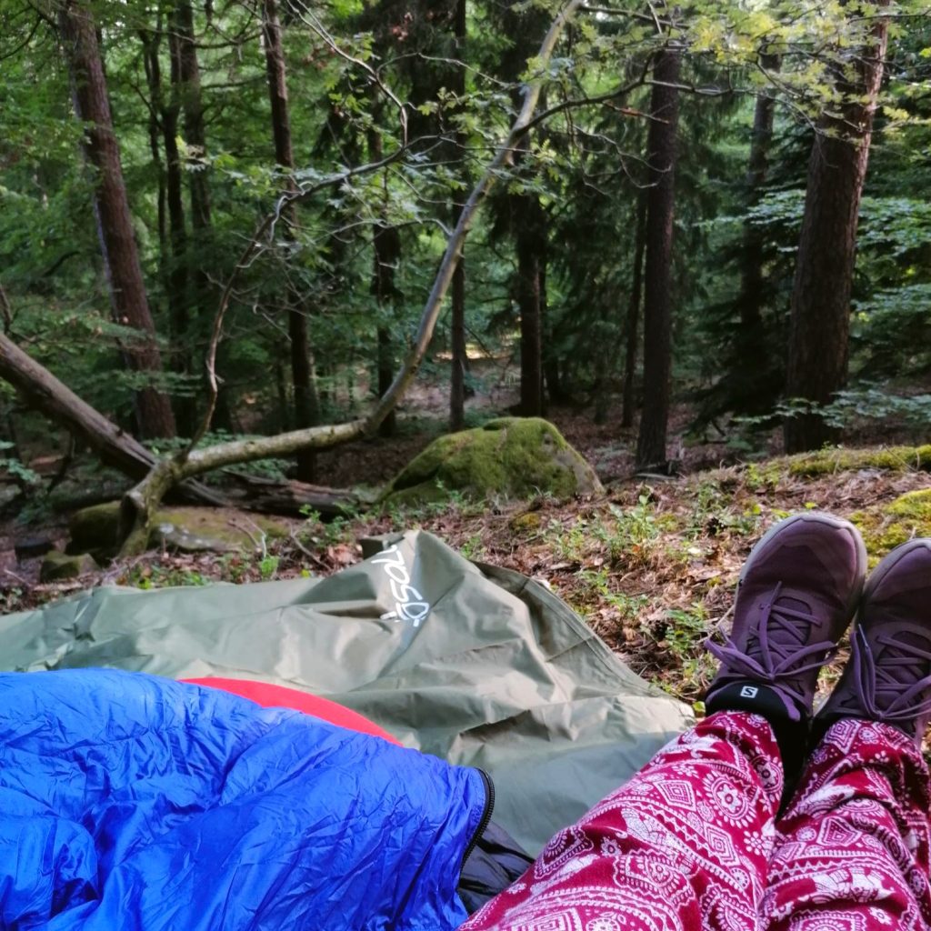 Den Schlafplatz bei einer Übernachtung im Wald solltest du sehr bewusst wählen.